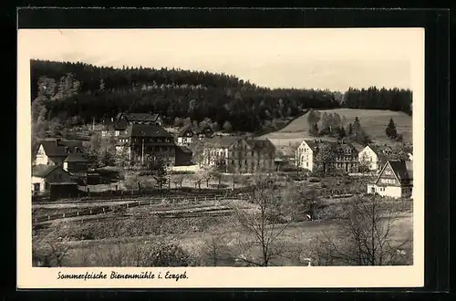 AK Bienenmühle i. Erzgeb., Ortspartie