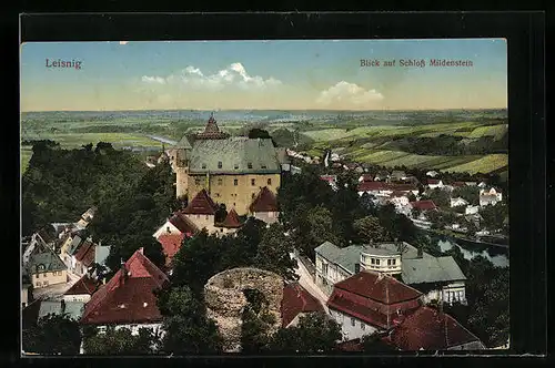 AK Leisnig, Blick auf Schloss Mildenstein