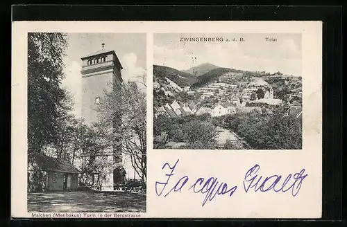 AK Zwingenberg a. d. B., Totalansicht, Malchen (Melibokus) Turm in der Bergstarsse