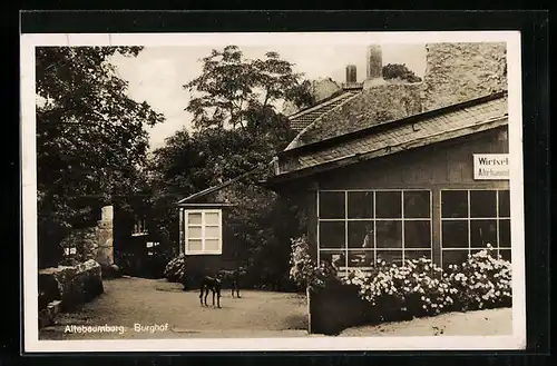 AK Altenbamberg, Altebaumburg, Partie am Burghof