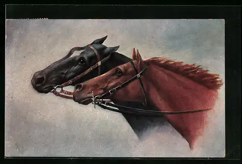 Künstler-AK Portrait zweier Reitpferde mit Zaumzeug