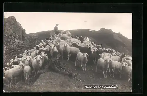 AK Schafherde mit Schäfer an einem Berg