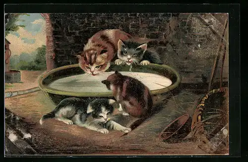 AK Drei kleine Katzen mit grosser Milchschüssel