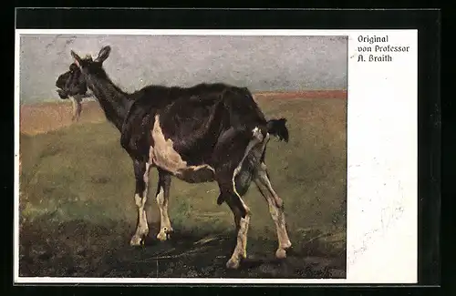 AK Ziege auf der Weide