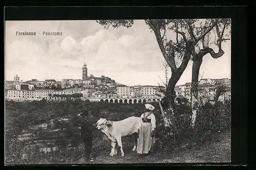 AK Frosinone, Panorama