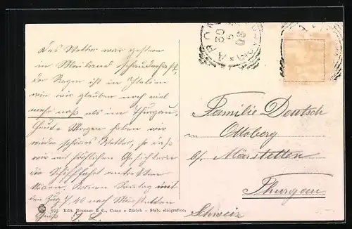 AK Arona /Lago Maggiore, Panorama