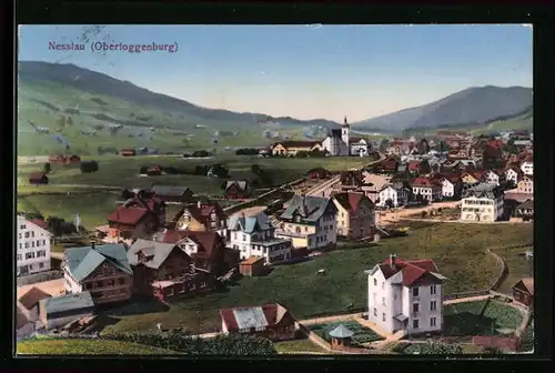 AK Nesslau (Obertoggenburg), Gesamtansicht aus der Vogelschau