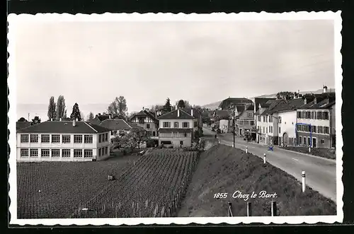 AK Chez le Bart, Panorama