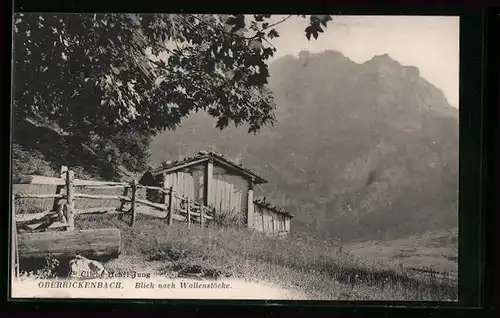 AK Oberrickenbach, Blick nach Wallenstöcke