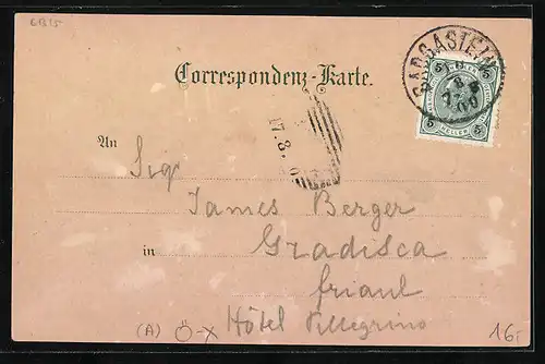 Lithographie Wildbad Gastein, Stöckls Restauration, Ortsansicht von Stöckls Restaurant