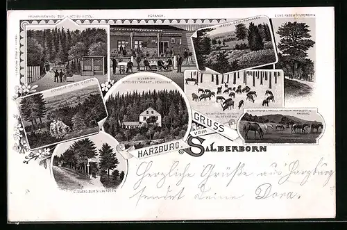 Lithographie Bad Harzburg, Gasthaus Silberborn, Veranda