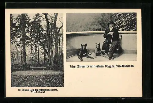 AK Friedrichsruh, Fürst Otto von Bismarck mit seinen Doggen, Parkpartie