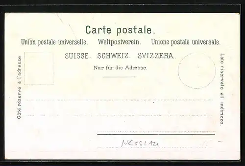 AK Nesslau, Ortsansicht mit Umland