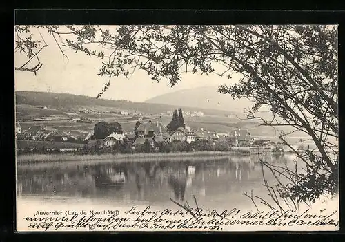 AK Auvernier, Lac de Neuchâtel, Ortsansicht mit Umland
