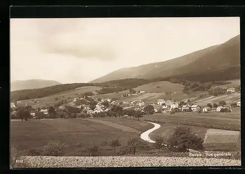 AK Bevaix, Vue générale