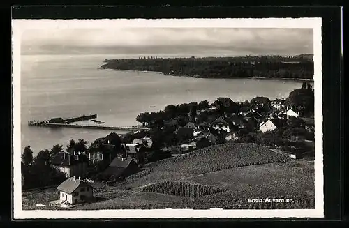 AK Auvernier, Gesamtansicht