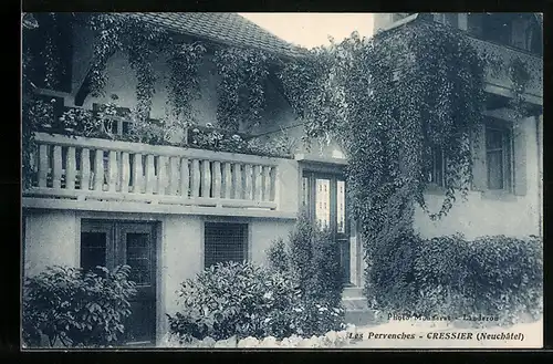 AK Cressier /Neuchâtel, Les Pervenches