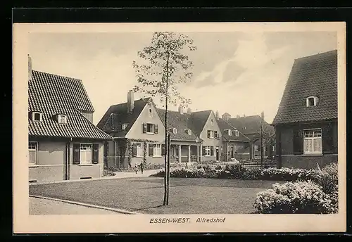 AK Essen-West, Alfredshof, Neubau-Siedlung
