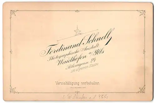 Fotografie Ferdinand Schnell, Waidhofen a. Ybbs, Ansicht Waidhofen a. Ybbs, Schloss Waidhofen von Baron Rothschild