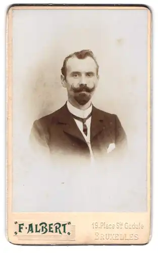 Fotografie F. Albert, Bruxelles, 19, Place Ste. Gudule, 19, Elegant gekleideter Herr mit Vollbart
