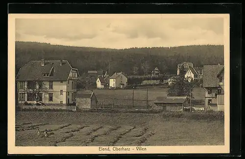 AK Elend / Oberharz, Villen am Waldrand