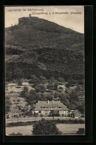 AK Zwingenberg a. d. Bergstrasse /Hessen, Lehrbetrieb für Gärtnerinnen