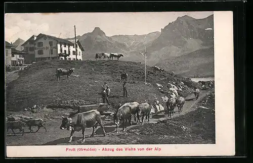 AK Melchthal Frutt, Abzug des Viehs von der Alp