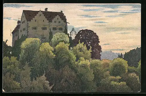 Künstler-AK Ernst E. Schlatter: Ermatingen, Totale von Schloss Salenstein