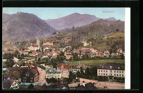 AK Wattwyl, Panoramaansicht der Stadt