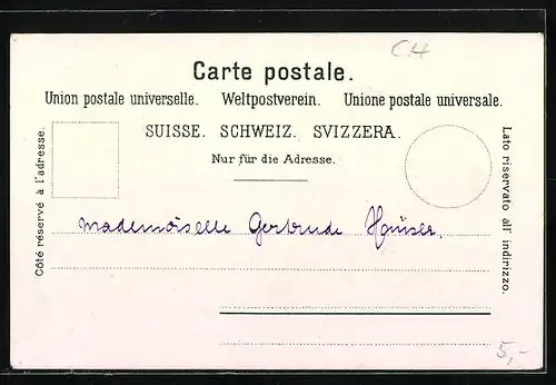 AK Neuveville, Panoramaansicht