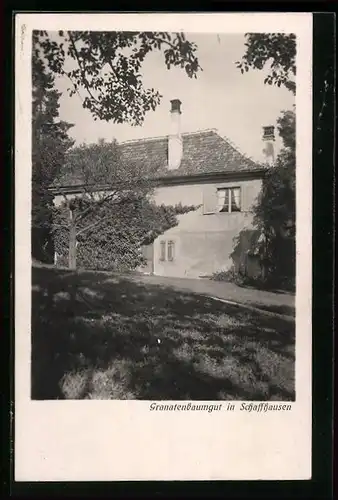 AK Schaffhausen, Granatenbaumgut, Grubenstrasse 103