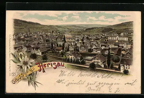 Lithographie Herisau, Ortsansicht aus der Vogelschau mit Fernblick