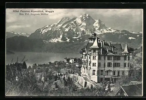 AK Weggis, Hôtel-Pension Alpenblick