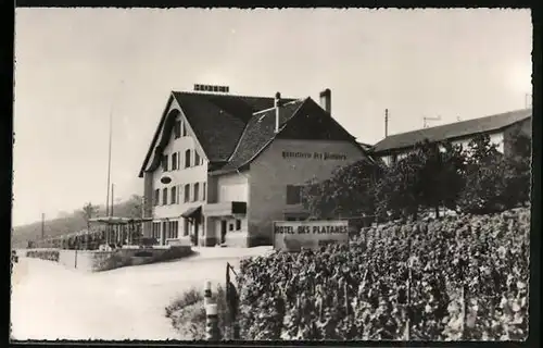 AK Chez-le-Bart /Ntel., Hostellerie des Platanes