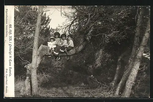 AK LL. AA. R. i Principi di Casa Savoia