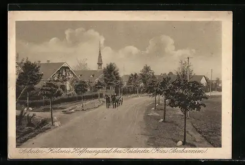 AK Rüdnitz /Kr. Oberbarnim, Arbeiter-Kolonie Hoffnungsthal, Strassenpartie