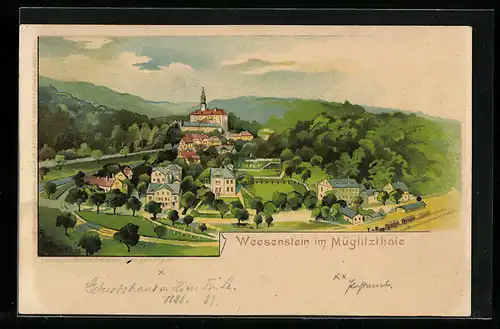 Lithographie Weesenstein /Müglitzthal, Gesamtansicht mit Umgebung aus der Vogelschau