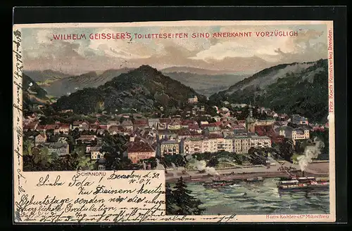 Künstler-AK Bad Schandau, Ortsansicht aus der Vogelschau, Dampfer