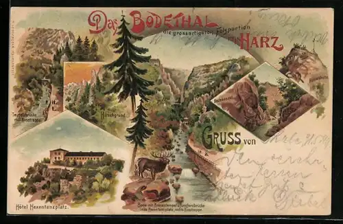 Lithographie Thale / Harz, Hotel zur Rosstrappe, Bodekessel, Hirschgrund