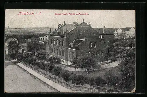 AK Auerbach i. V., Landwirtschaftliche Lehranstalt aus der Vogelschau