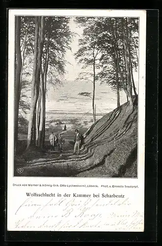 AK Scharbeutz, Wolfsschlucht in der Kammer zwischen Timmendorferstrand und Scharbeutz