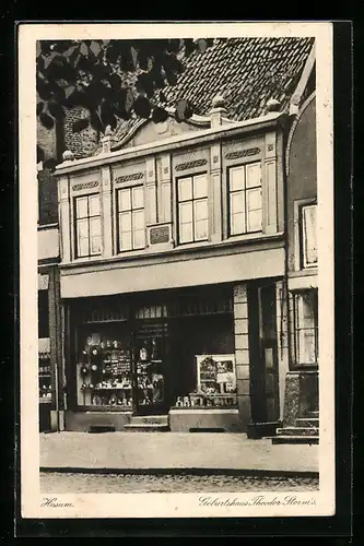 AK Husum, Geburtshaus Theodor Storm`s