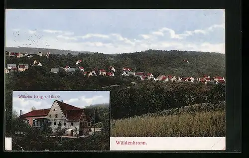 AK Wäldenbronn, Gasthaus zum Hirsch von Wilhelm Haug, Ortsansicht