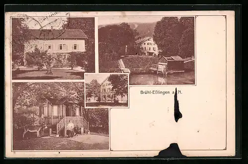 AK Brühl-Esslingen a. N., Gebäudeansicht, Holzhaus mit Esel, Uferpartie