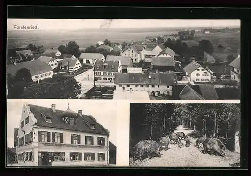 AK München-Forstenried, Kolonialwarengeschäft, Waldpartie mit Wildschweinen, Teilansicht