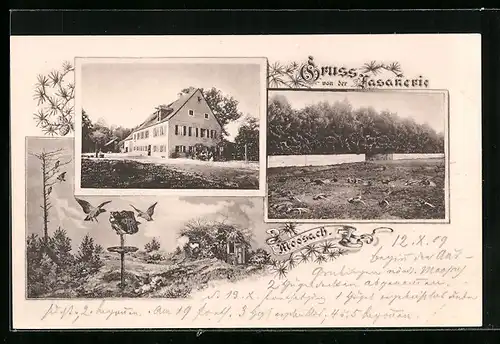 AK Moosach, Fasanerie, Mehrfachansicht