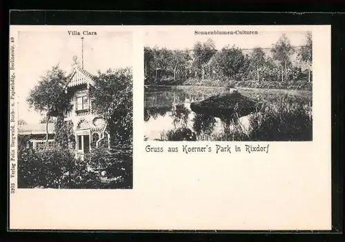 AK Rixdorf, Villa Clara und Sonnenblumen-Kulturen in Koerner`s Park