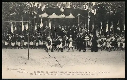 AK Vienne, Tribune d`honneur, Presentation des Drapeaux, Turnfest