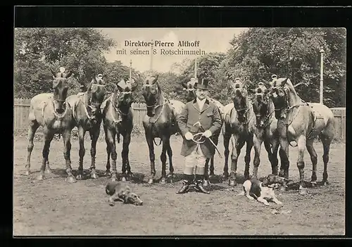 AK Direktor Pierre Althoff mit seinen 8 Rotschimmeln, Zirkus