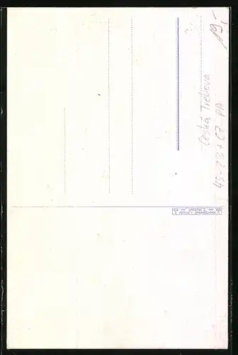 AK Ceska Treboca, Sokol 1935, Slet Sokolske zupy vychodoceske Pippichovy